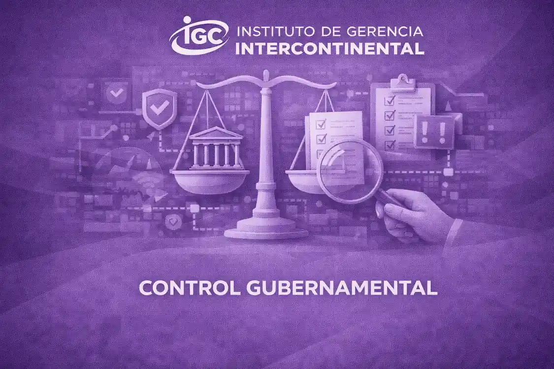 Imagen de Control Gubernamental